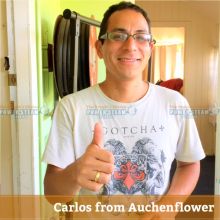 Thank You Carlos From Auchenflower For Carpet Cleaning Review