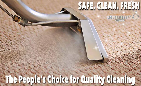 PROFESSIONAL CARPET STEAM CLEANING