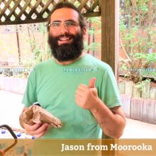 Thank You Jason From Moorooka For Carpet Cleaning Review
